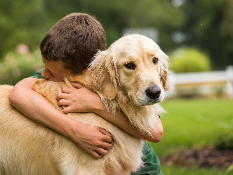 young boy hugging a golden retriever dog at a park